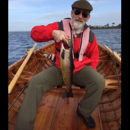 Luskin's Tatil Evi *