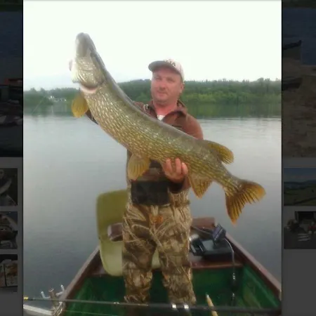 Luskin's Nyaraló Cong