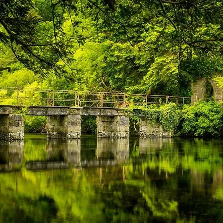 Nyaraló Luskin's Cong