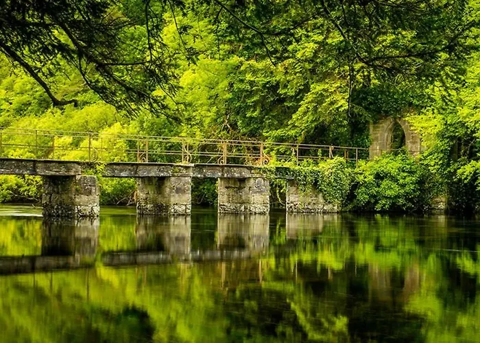 Hébergement de vacances Luskin's Cong